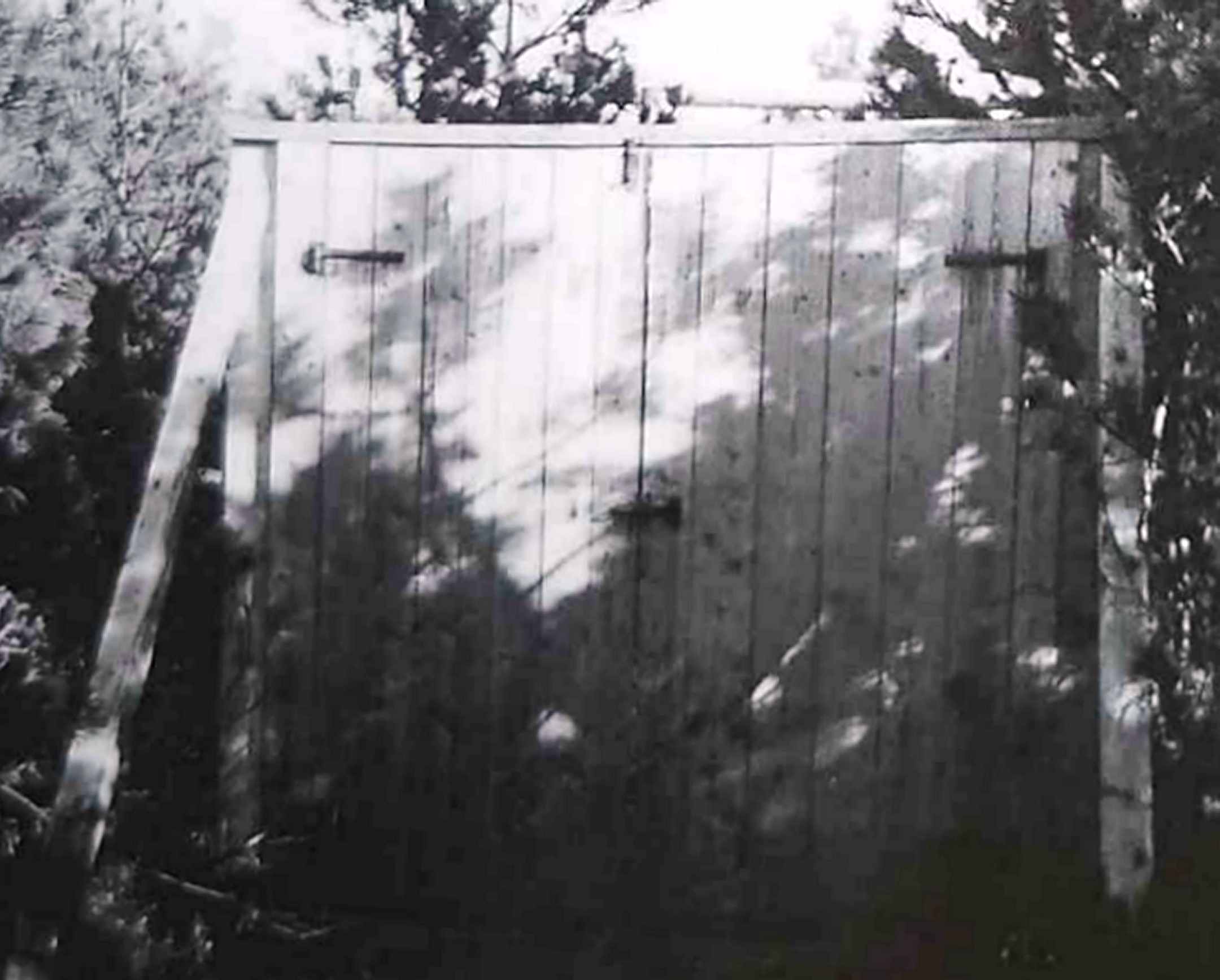 Dines Bogø - 1945 - Undallslund