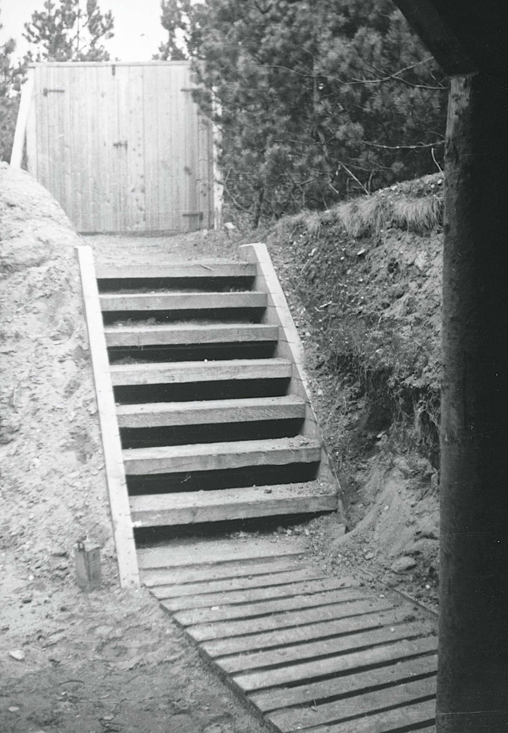Dines Bogø - 1945 - Undallslund