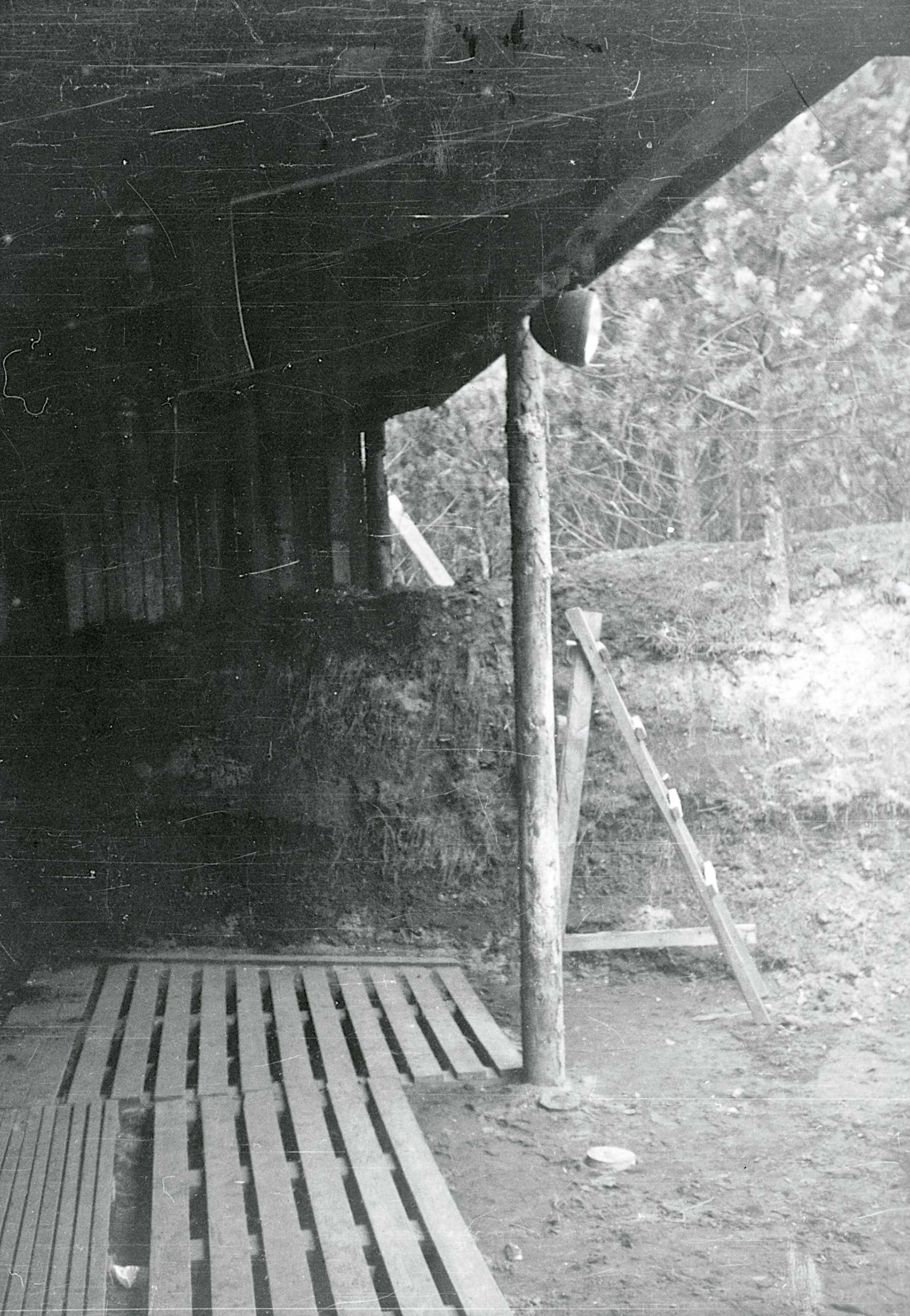 Dines Bogø - 1945 - Undallslund