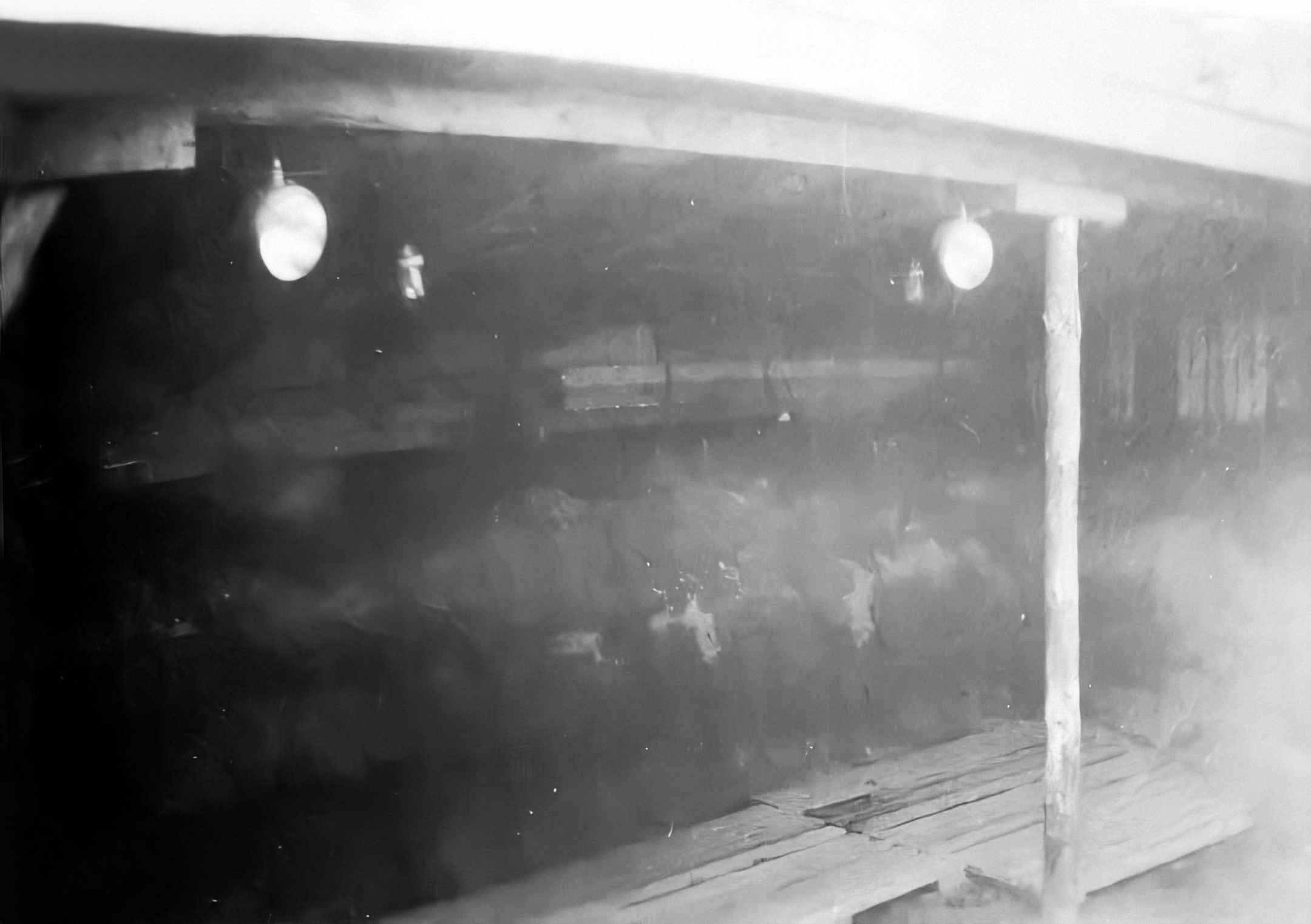Dines Bogø - 1945 - Undallslund
