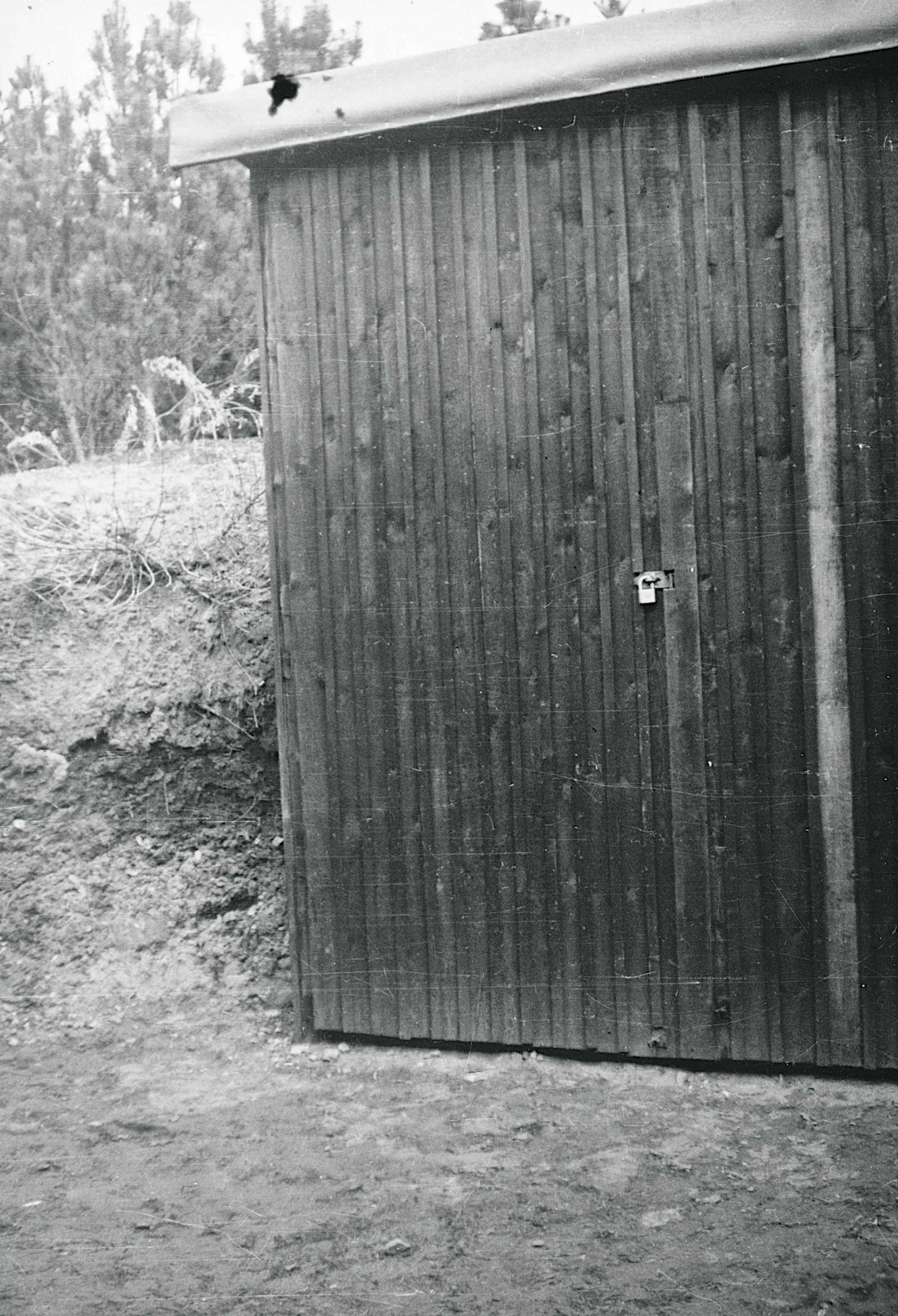 Dines Bogø - 1945 - Undallslund