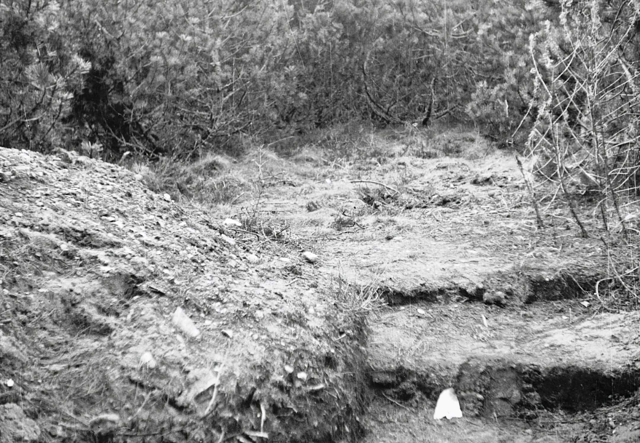 Dines Bogø - 1945 - Undallslund