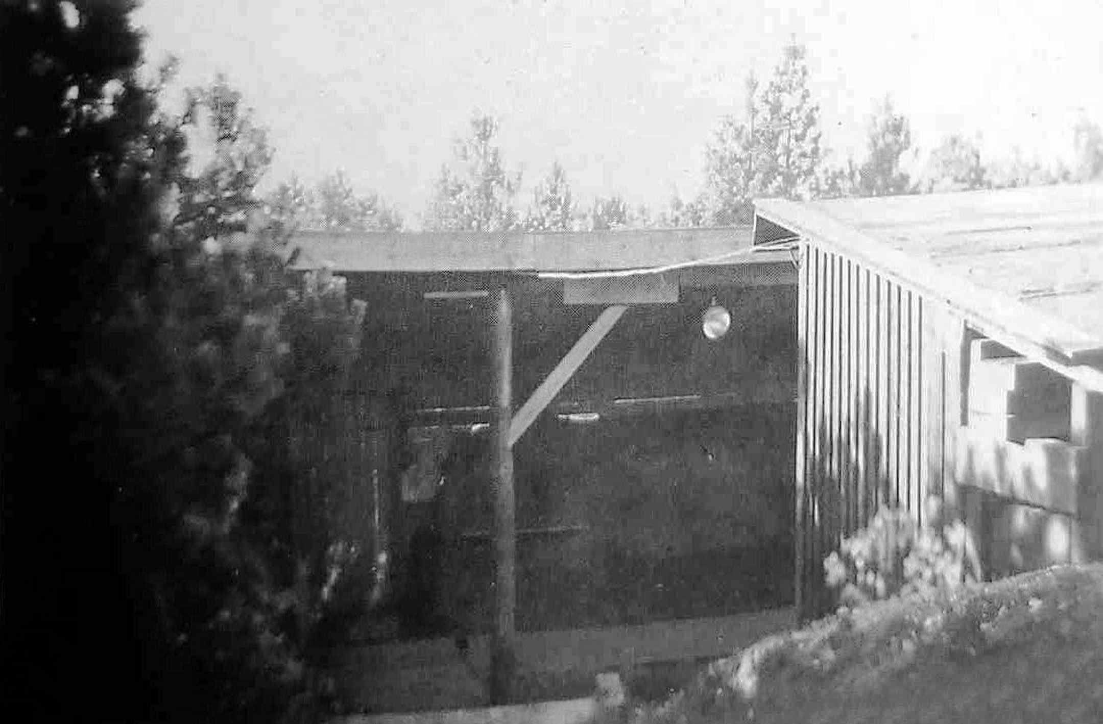 Dines Bogø - 1945 - Undallslund