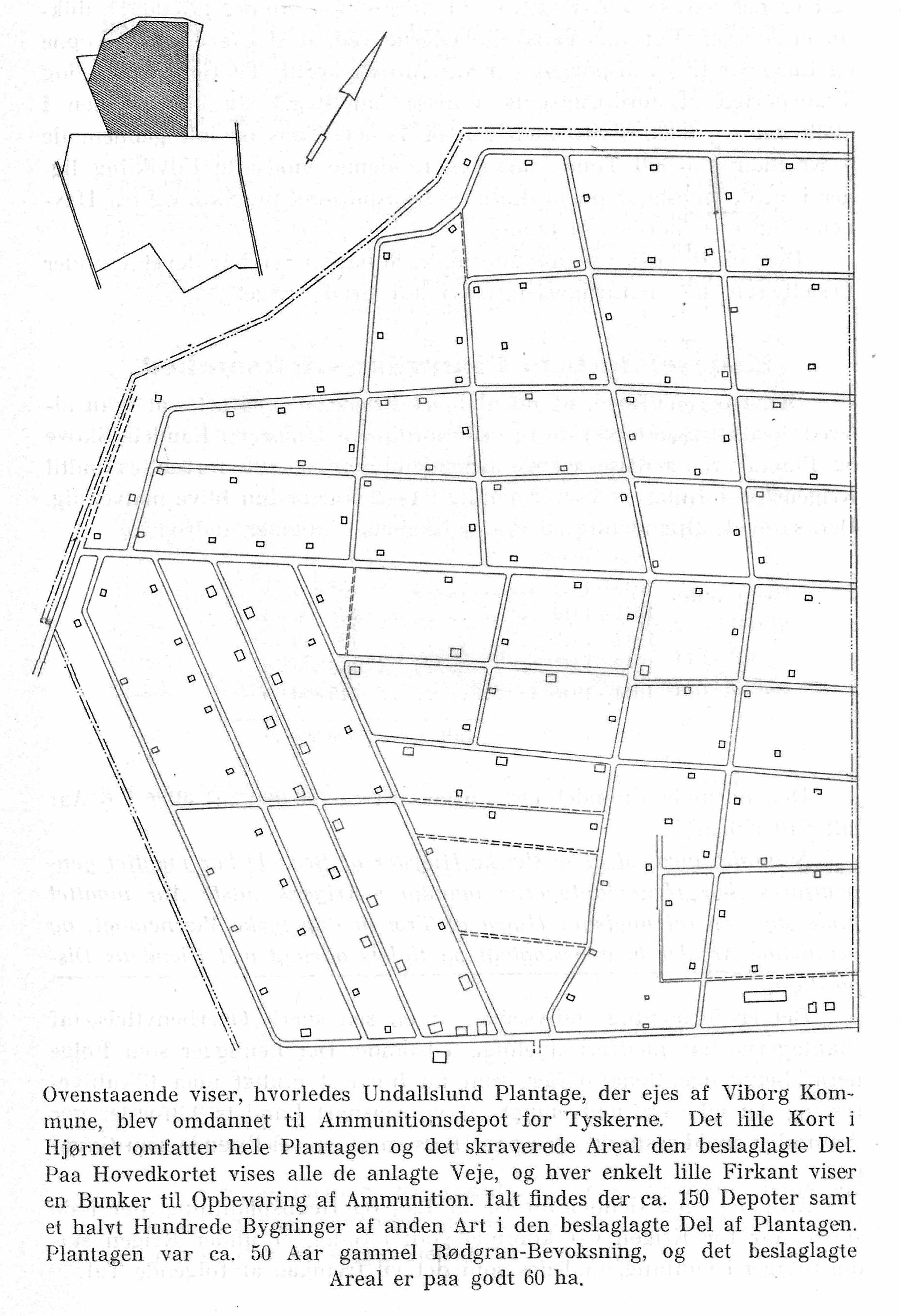 Dines Bogø - 1945 - Undallslund