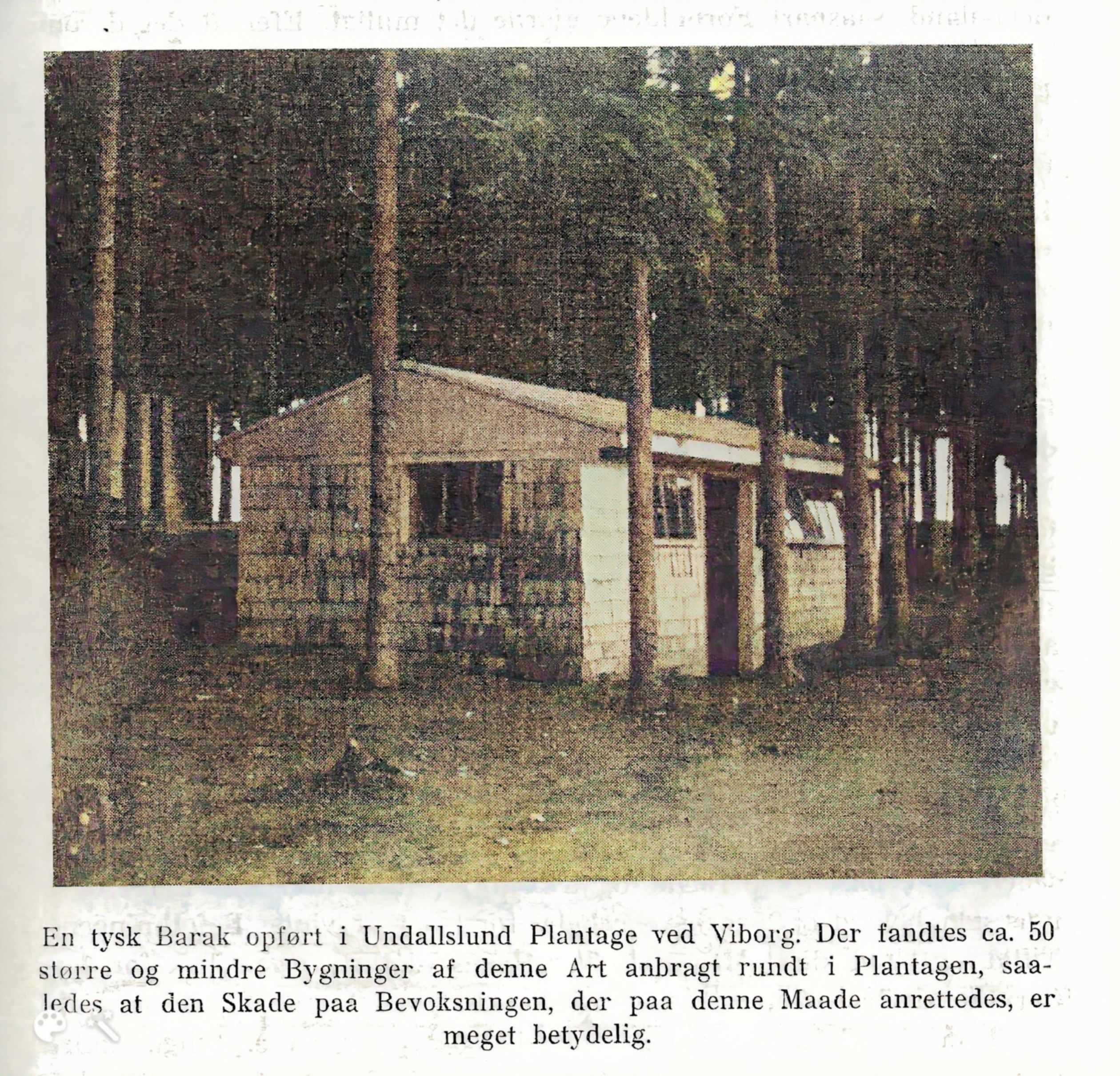 Dines Bogø - 1945 - Undallslund